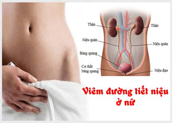 Nhiễm khuẩn tiết niệu trong thai kỳ – Dấu hiệu và cách xử lý an toàn