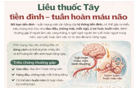 Liều thuốc Tây tiền đình – tuần hoàn máu não (tham khảo)