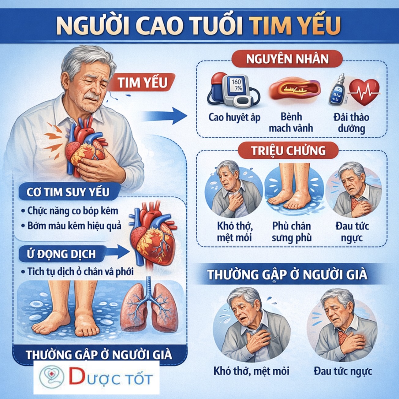 NGƯỜI CAO TUỔI TIM YẾU – NÊN DÙNG GÌ?