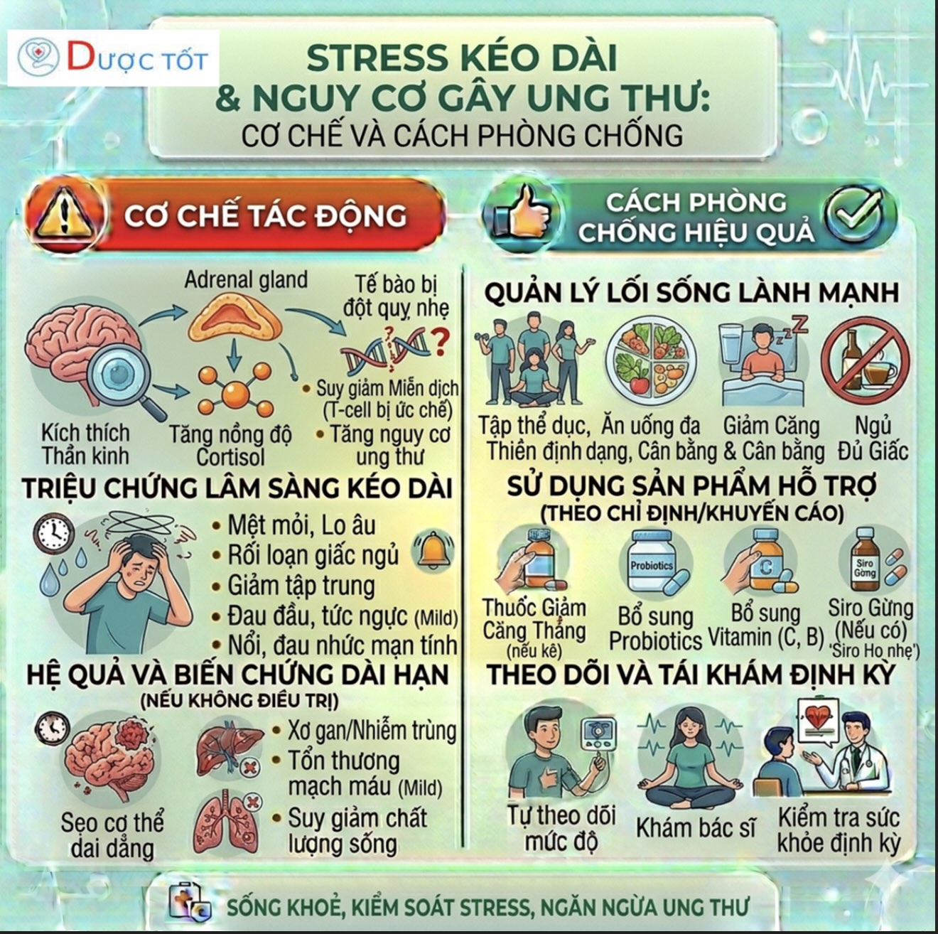 STRESS KÉO DÀI – YẾU TỐ NGUY CƠ UNG THƯ