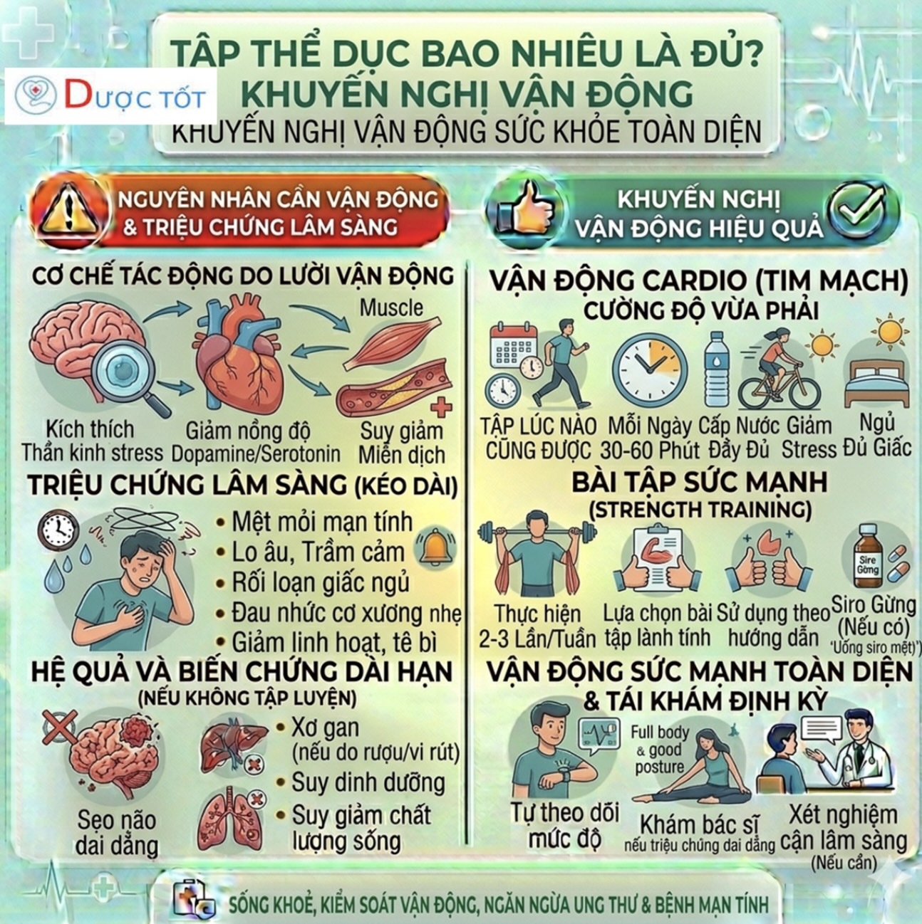 TẬP THỂ DỤC BAO NHIÊU LÀ ĐỦ?