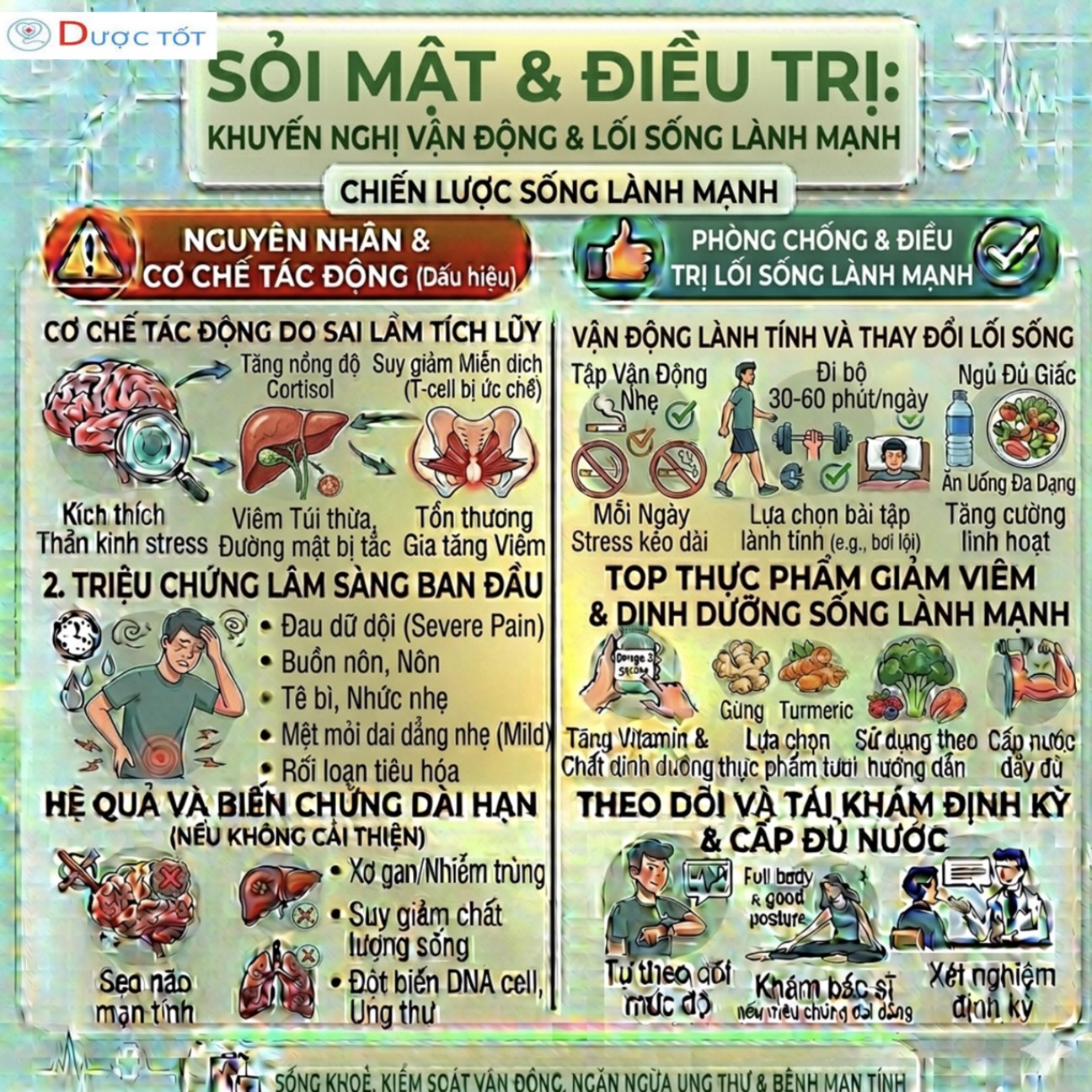 ĐIỀU TRỊ SỎI MẬT (GIAI ĐOẠN NHẸ)