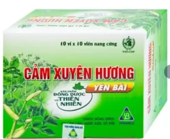 Thuốc Cảm Xuyên Hương Yên Bái điều trị cảm cúm, cảm lạnh (10 vỉ x 10 viên)