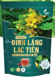 Trà túi lọc Đinh Lăng Lạc Tiên Giga