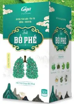 Trà túi lọc Bổ Phế Xuyên Tâm Liên Giga