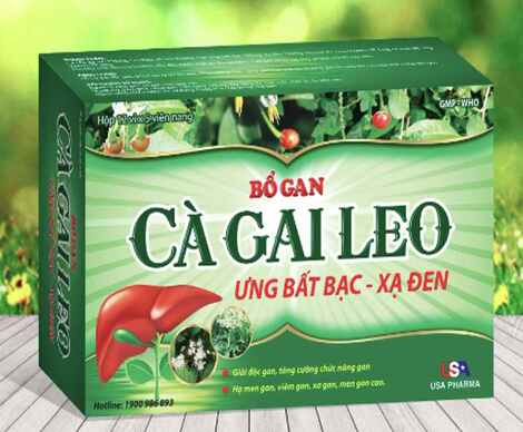 BỔ GAN CÀ GAI LEO