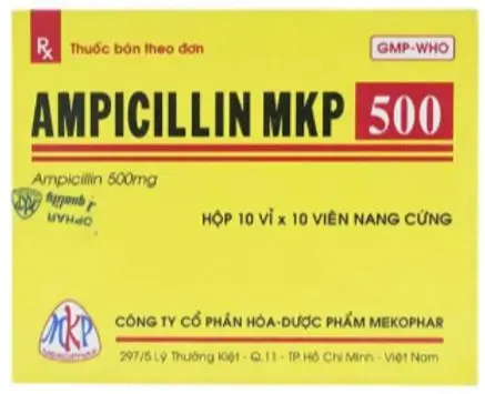 Thuốc Ampicillin MKP 500 - điều trị nhiễm khuẩn
