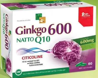 GINKGO 600 NATTO Q10 - Citicoline - Bổ não, tăng cường trí nhớ, tăng tuần hoàn máu não