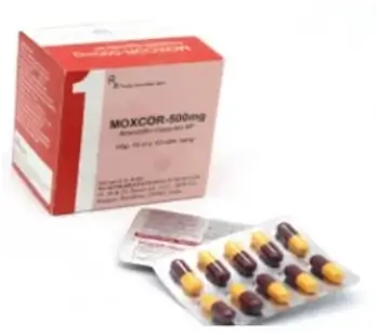 Thuốc kháng sinh Moxcor-500mg hộp 10 vỉ x 10 viên