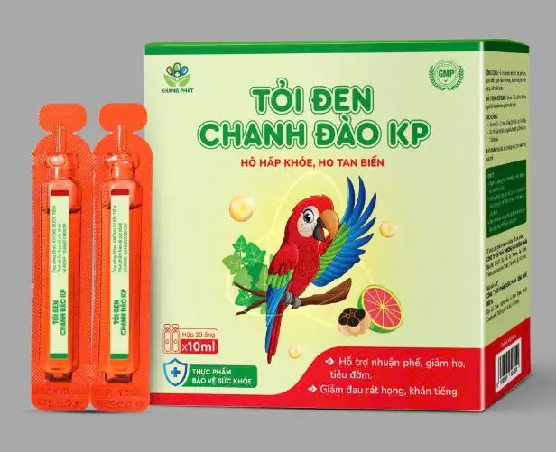 TỎI ĐEN CHANH ĐÀO KP