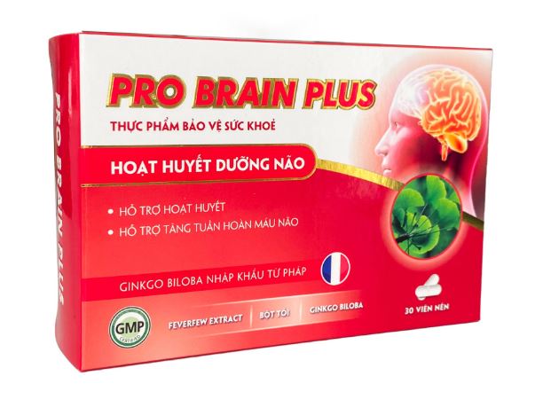Thực phẩm bảo vệ sức khỏe PRO BRAIN PLUS H/30V
