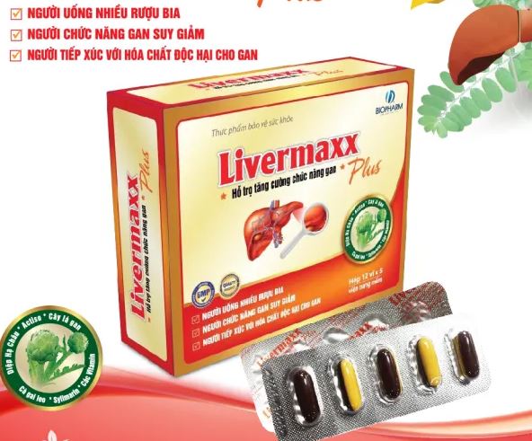 LIVERMAXX PLUS Hỗ trợ bảo vệ và giải độc gan