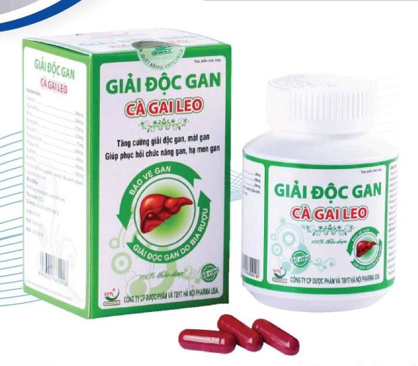 Giải độc gan Cà gai leo giúp tăng cường chức năng gan