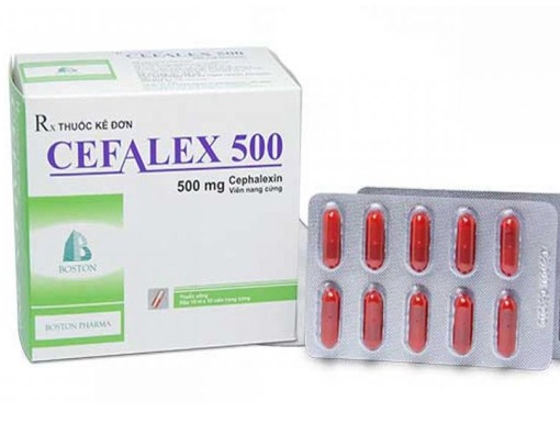 Cefalex 500 giúp điều trị hiệu quả các nhiễm khuẩn thường gặp