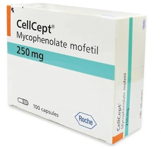 Thuốc CellCept 250 giúp ức chế miễn dịch mạnh
