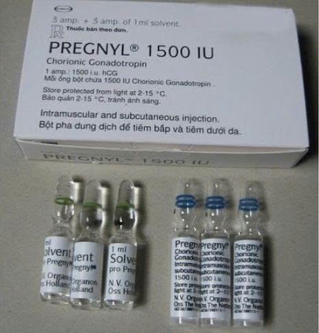 Thuốc Pregnyl 1500 (Organon) điều trị vô sinh ở nam và nữ