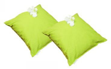 Gối ngải cứu Hapaku