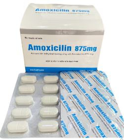 Amoxicillin 875mg hataphar (h/100v)