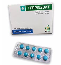 Viên nén Terpinzoat Bao Đường Tv.Pharm hỗ trợ tiêu hóa(10 vỉ x 10 viên)