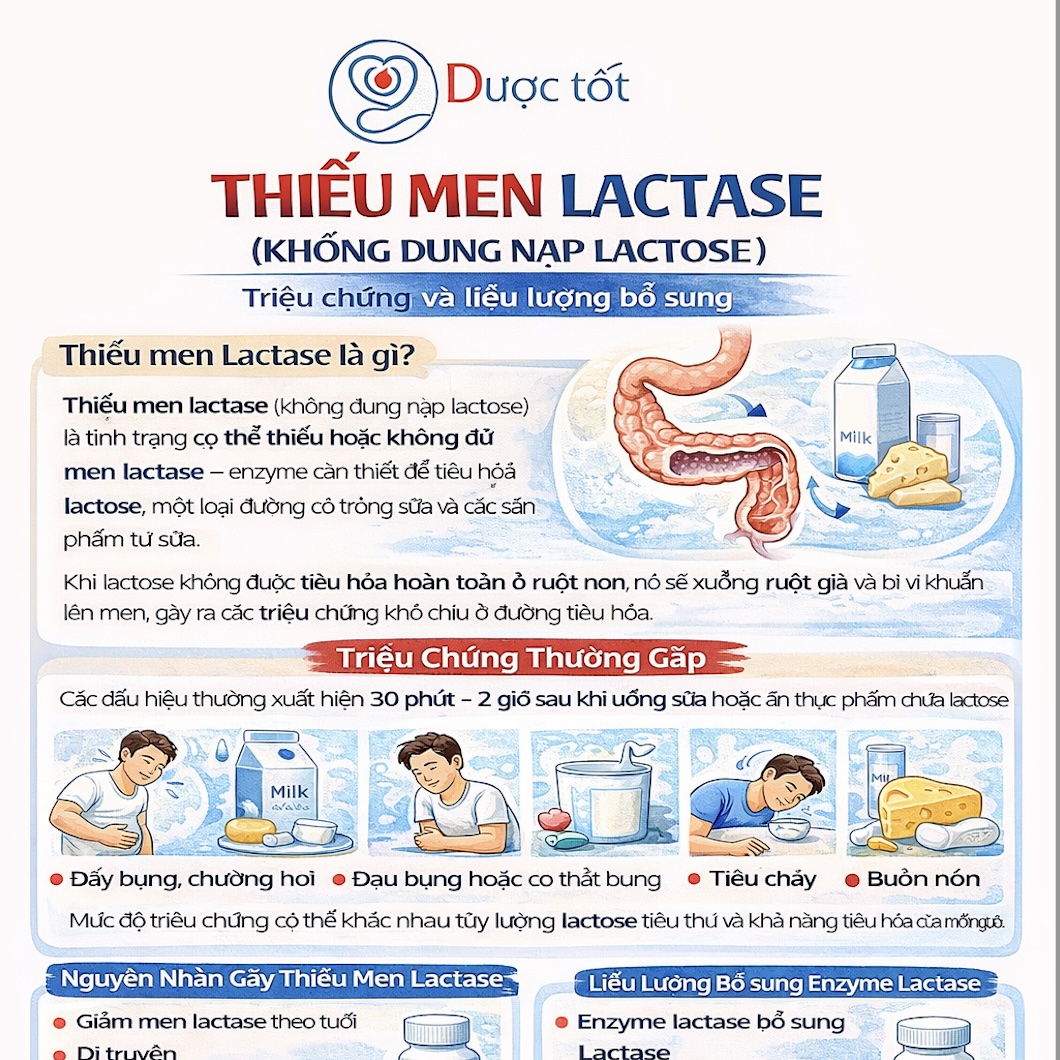Bổ sung Men Lactose