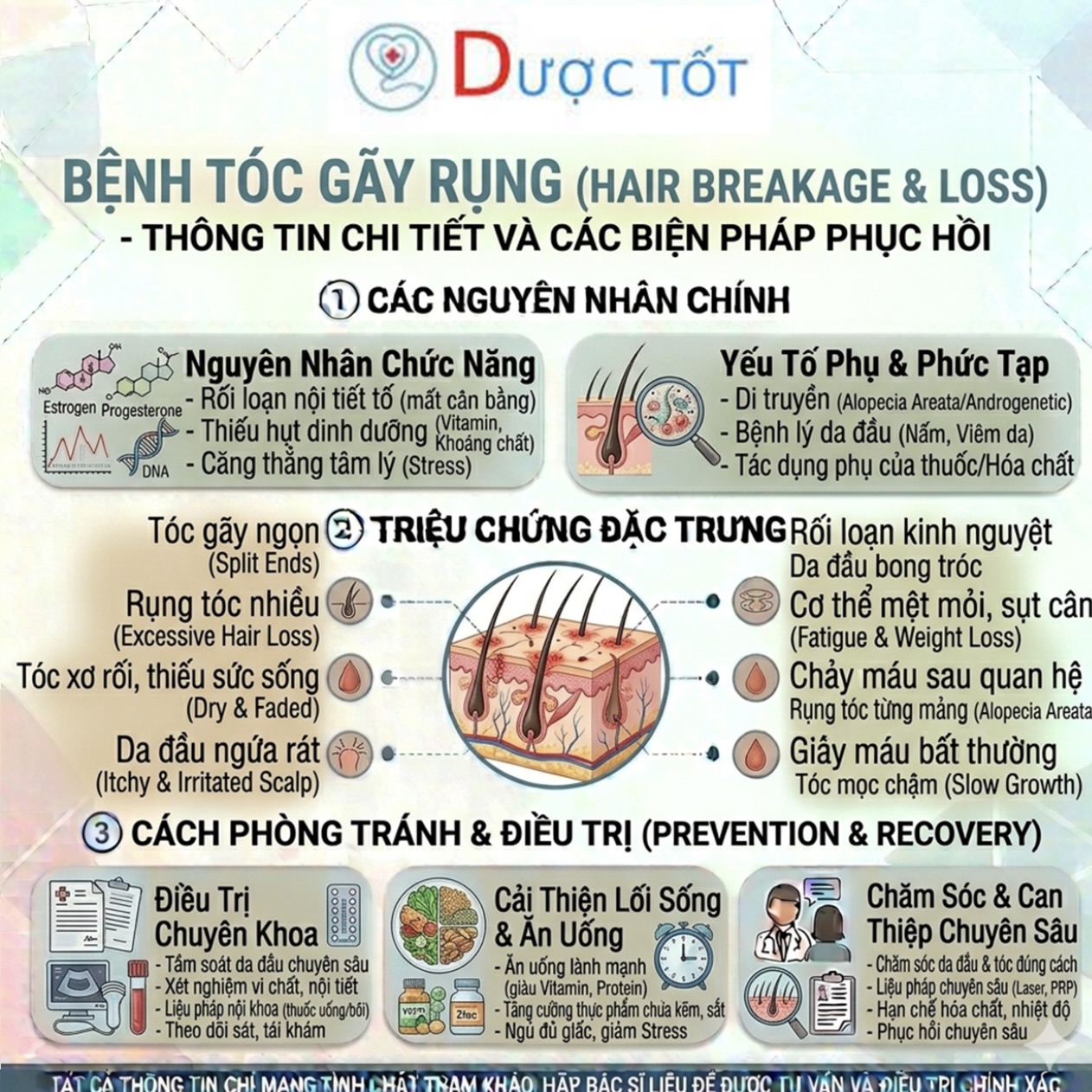 Tình trạng tóc gãy rụng và cách phục hồi