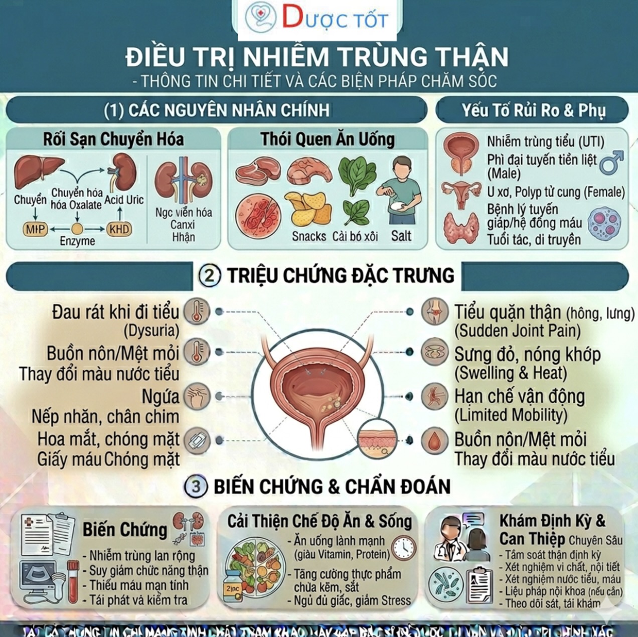 ĐIỀU TRỊ NHIỄM TRÙNG THẬN (VIÊM BỂ THẬN)